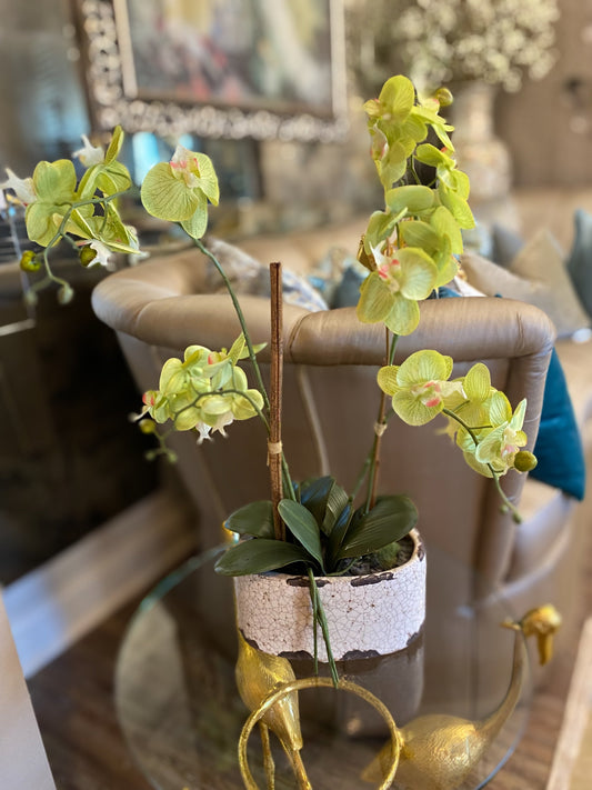 lime green Orchids distress ceramic arrangement