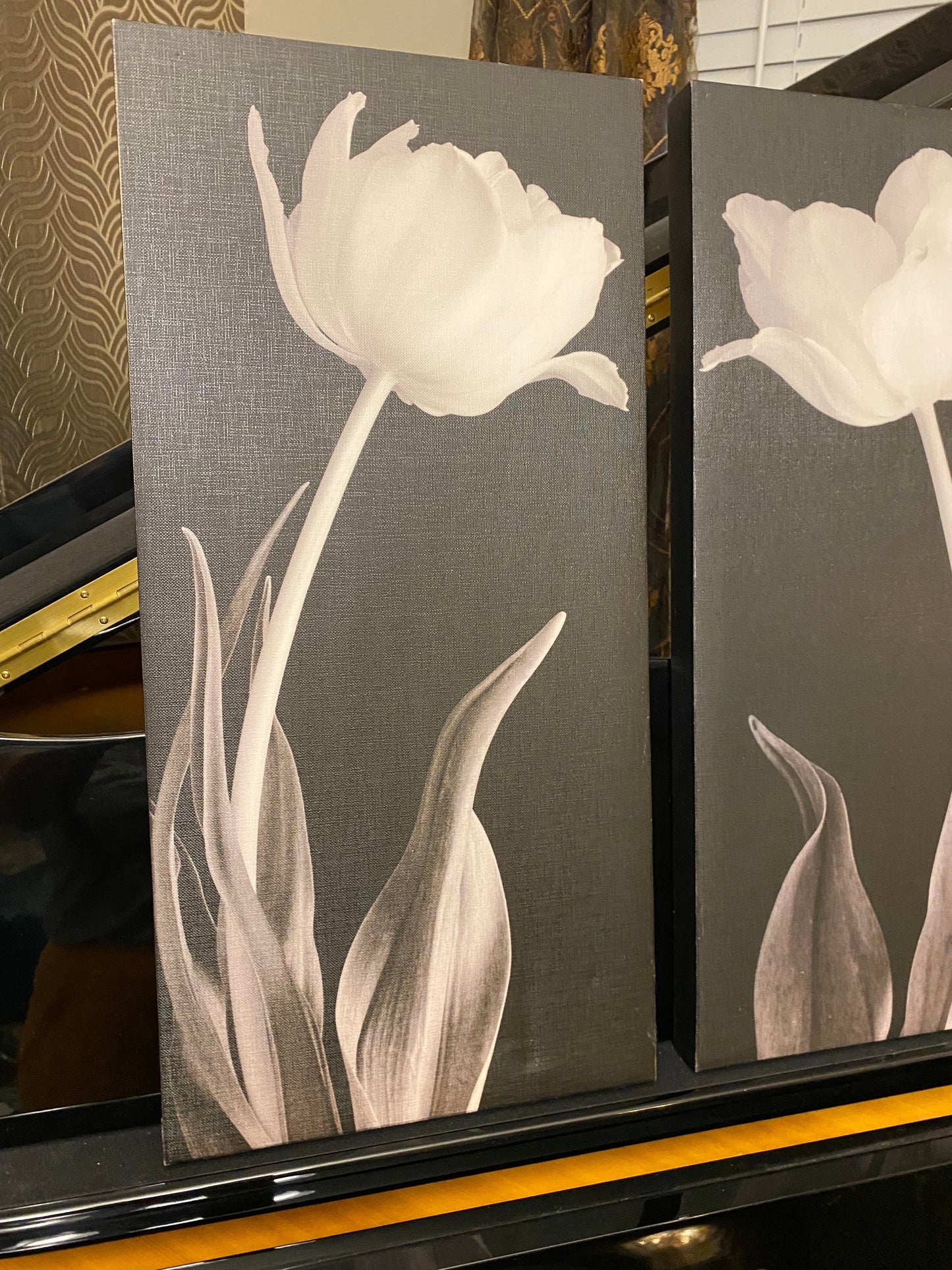 Tulips floral black white canvas pictures