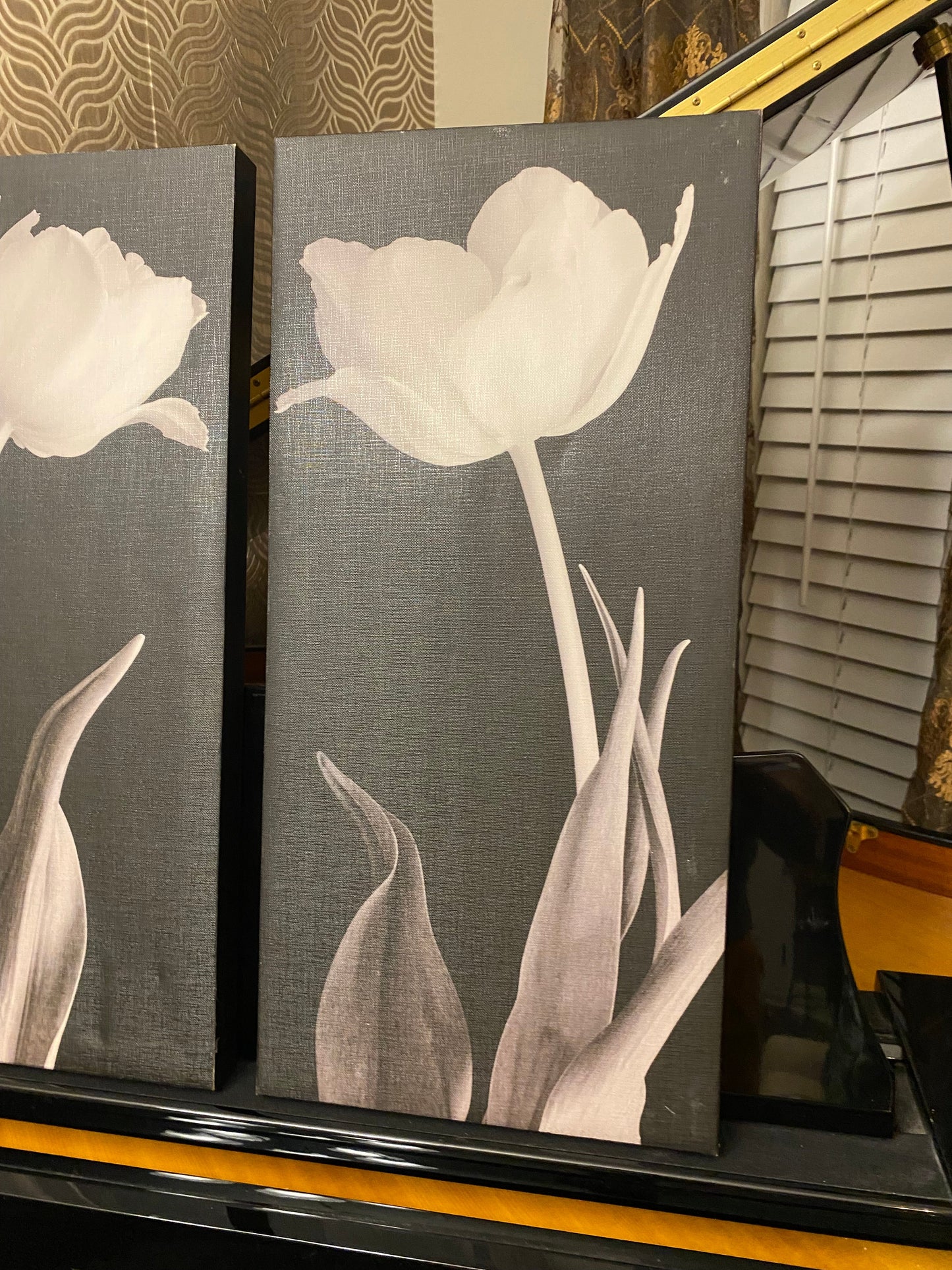 Tulips floral black white canvas pictures