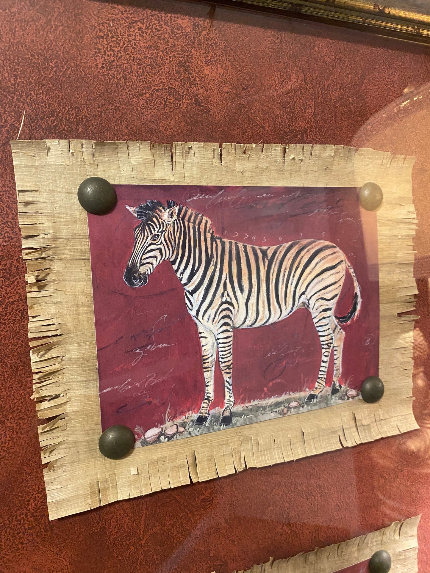 Paragon gallery safari zebra art by barrett picture